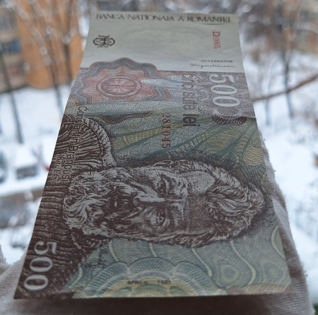 Romania, 500 Lei Aprilie 1991, seria D.0005/281045, Aunc [3]