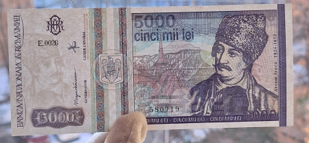 Romania, 5000 lei 1993, seria E.0026/580719, necirculata [2]