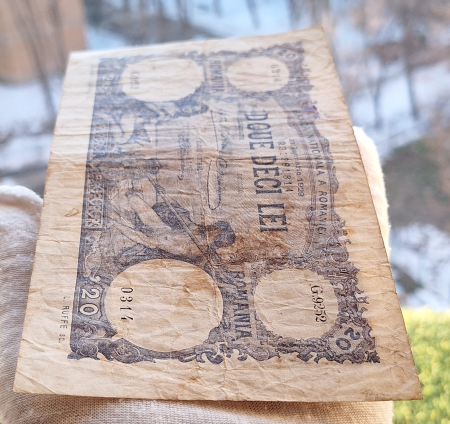 Romania bancnota 20 lei, 31 Ianuarie 1929, circulata [6]