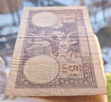 Romania bancnota 5 lei 1920, seria W.2498/0525/62449525, circulata [4]