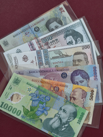 Din trusa colectionarului - Set 50 folii protectie/posete bancnote, 1 buzunar, 166x80 mm