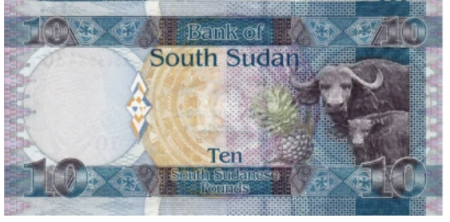 Sudanul de Sud - SUDANUL DE SUD 10 pounds 2011 (albastra), necirculata