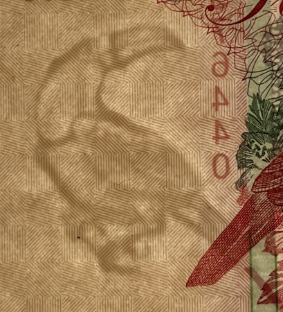 Surinam 10 Gulden 1996, filigran papagal, necirculata [1]