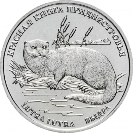 Monede - Transnistria 1 rubla 2018, Vidra eurasiatica, necirculata