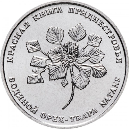 Monede - Transnistria 1 rubla 2019, Trapa, (Water caltrop), UNC