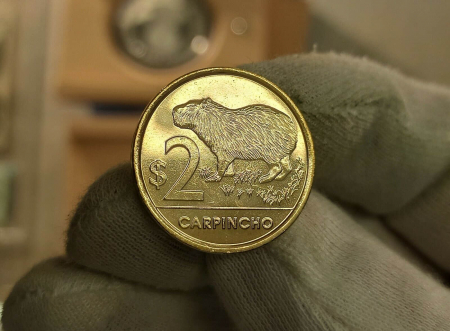 Monede America - Uruguay 2 Pesos Uruguayos 2019 Unc, animal