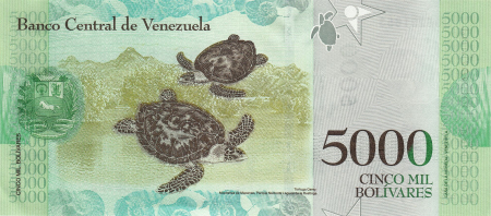 Venezuela - VENEZUELA 5000 bolivari 2017, necirculata