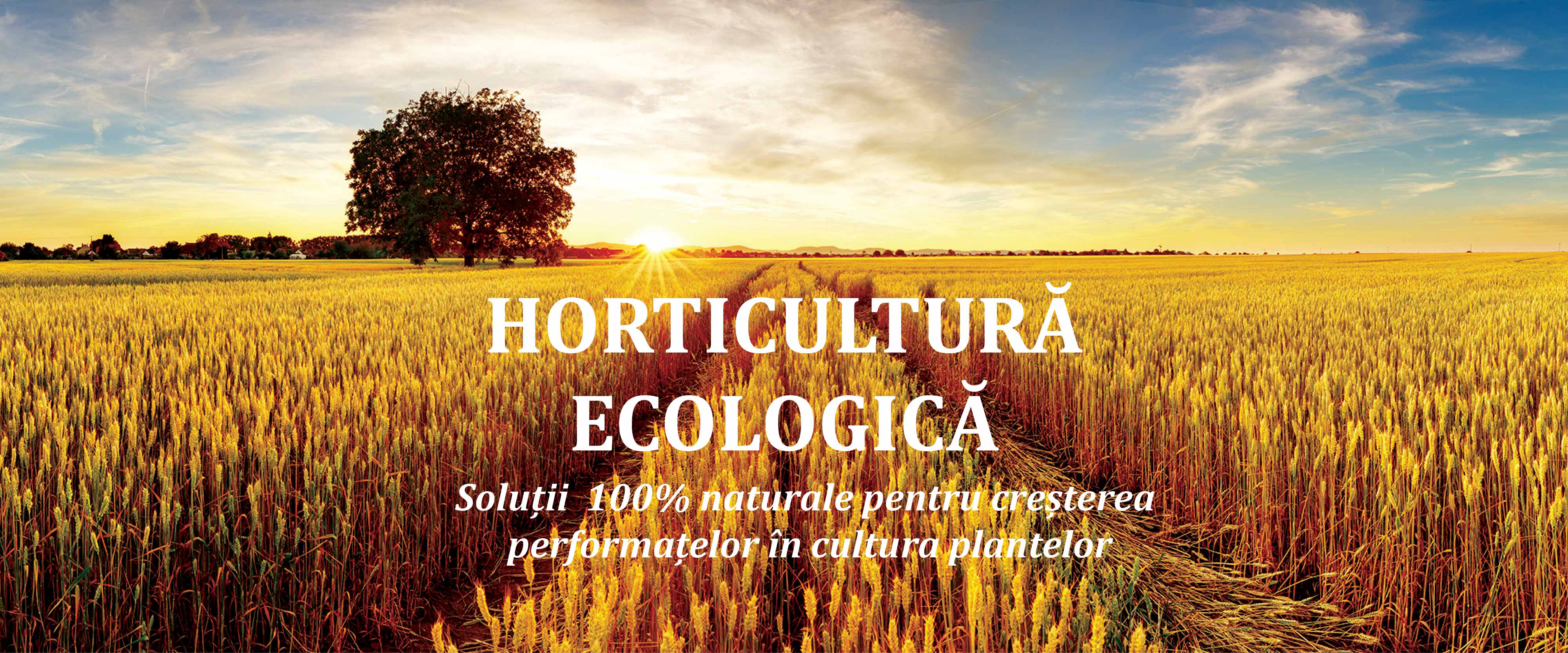 Horticultura ecologica
