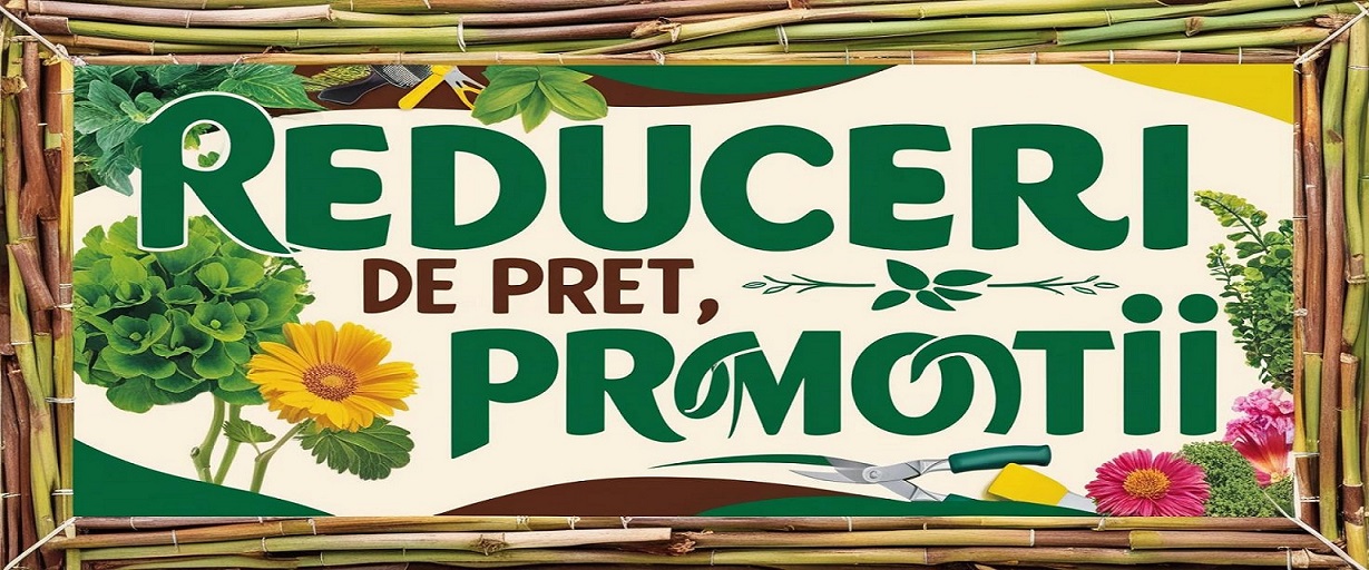 Anotimpul promotiilor