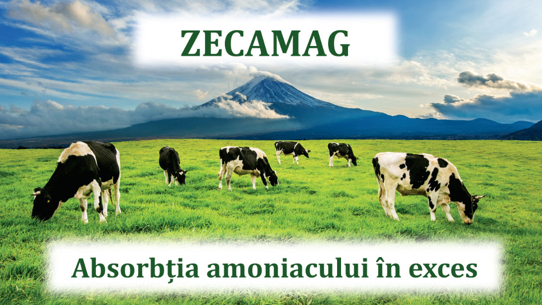 ZECAMAG- un produs natural special creat pentru crescatorii de animale
