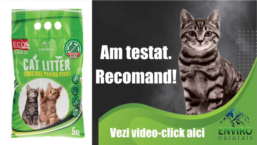 Catlitter-probabil cel mai bun asternut ecologic pentru pisici pe baza de zeolit