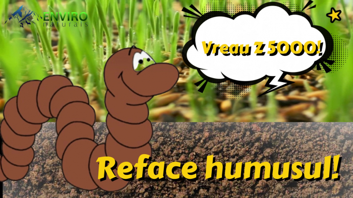 Ingrasamant cereale [5]