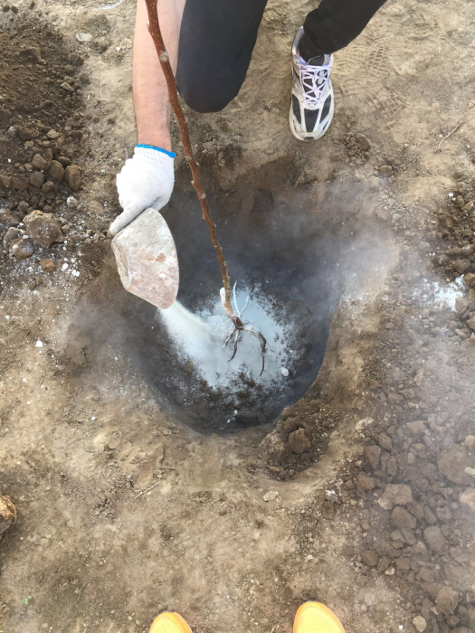 Z300 activator natural al solului cu zeolit Enviro Naturals [3]