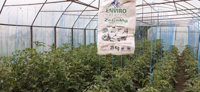 ZeCaMg zeolit cu calciu si magneziu bio pentru plante, Enviro Naturals [3]