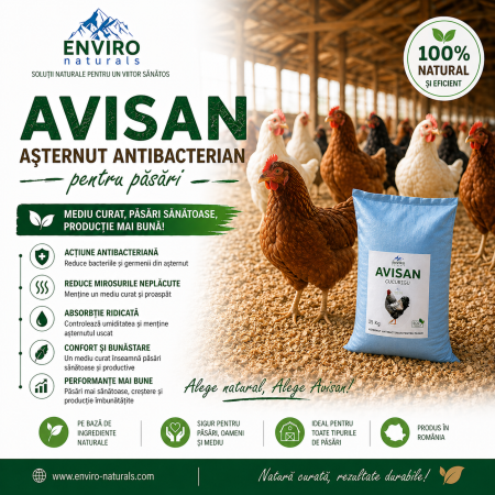 AVISAN, ASTERNUT ANTIBACTERIAN PENTRU PASARI [2]