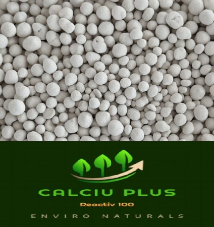 Îngrășăminte bio & naturale - CALCIU GRANULAT SAC 25 KG