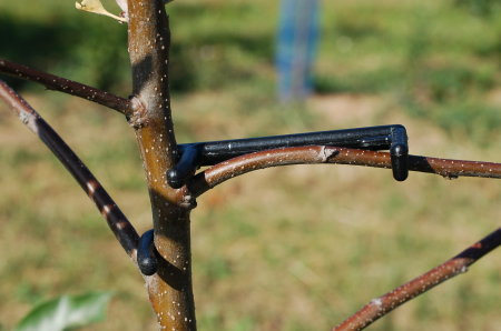 Ramfix 2 Enviro Naturals clema palisare [4]