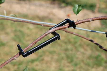 Accesorii pentru pomicultura - Ramfix 1, clema palisare Enviro Naturals
