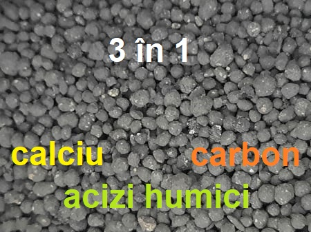Îngrășăminte bio & naturale - CRETA NEAGRA AMORFA BIO 3 in 1, 25 KG