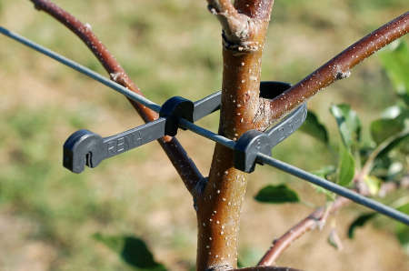 Accesorii pentru pomicultura - Clema cu prindere dubla pentru palisare Enviro Naturals