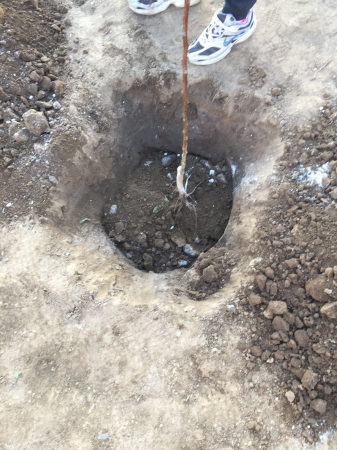 Z300 activator natural al solului cu zeolit Enviro Naturals [3]