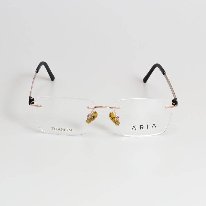 Aria 021-2 Titan [2]