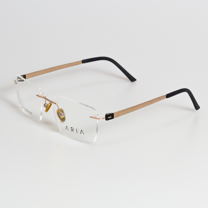 Aria 021-2 Titan [1]