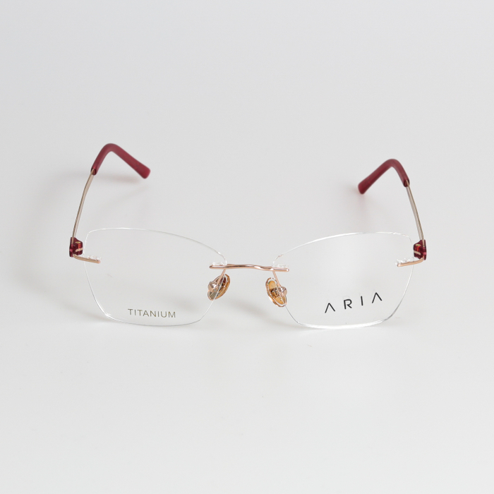 Aria 022-4 Titan [2]