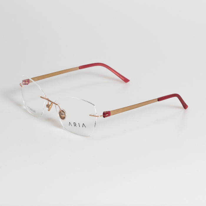 Aria 022-4 Titan [1]