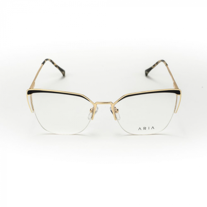 Aria 1125-C1 [2]