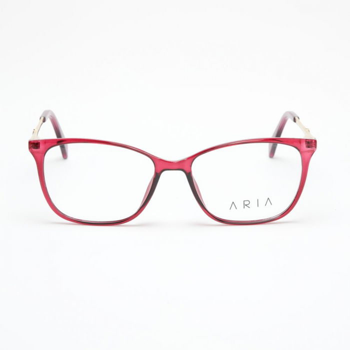 Aria 1207-C4 [2]