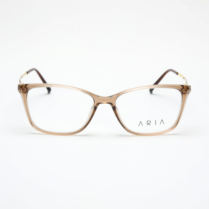 Aria 1209-3 [2]