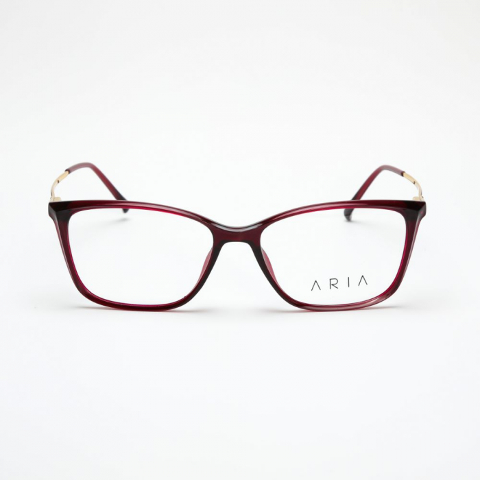 Aria 1209-7 [2]