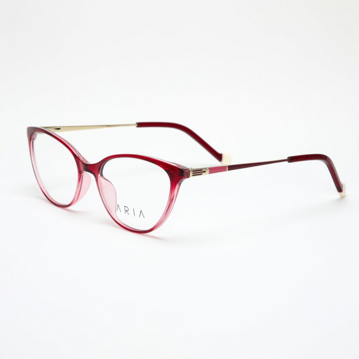 Aria 1210-1 [1]
