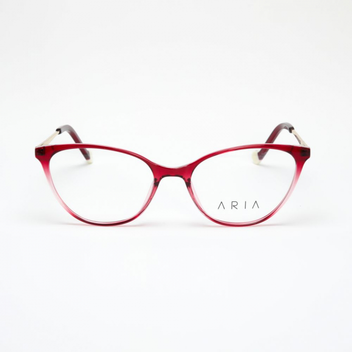 Aria 1210-1 [2]