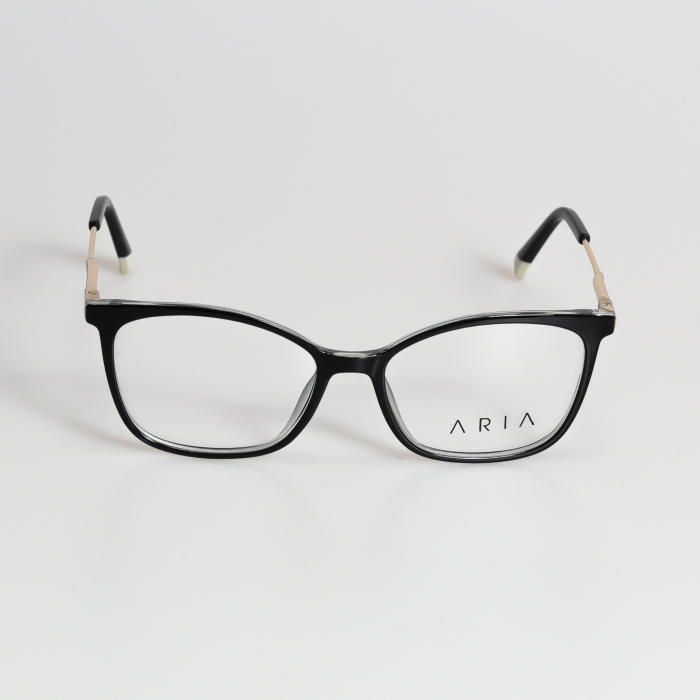 Aria 1246-1 [2]