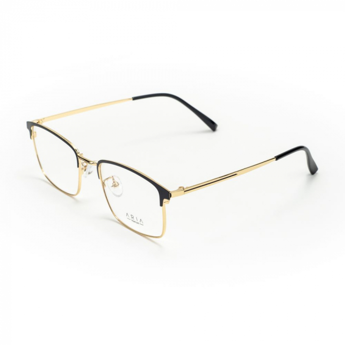 Aria AA1050-C1 [1]