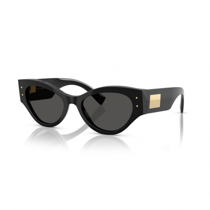 Dolce&Gabbana 4480-501/87 [1]