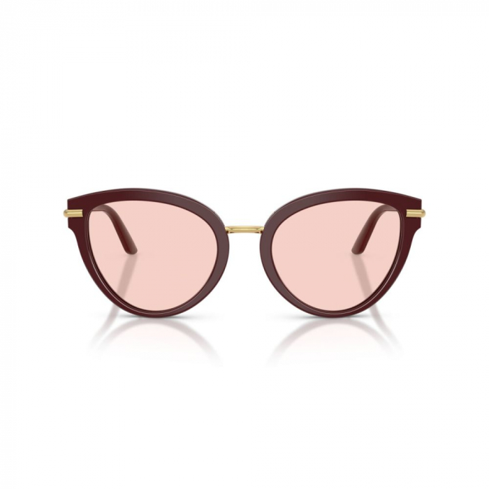 Dolce&Gabbana 4492-3091P5 [2]