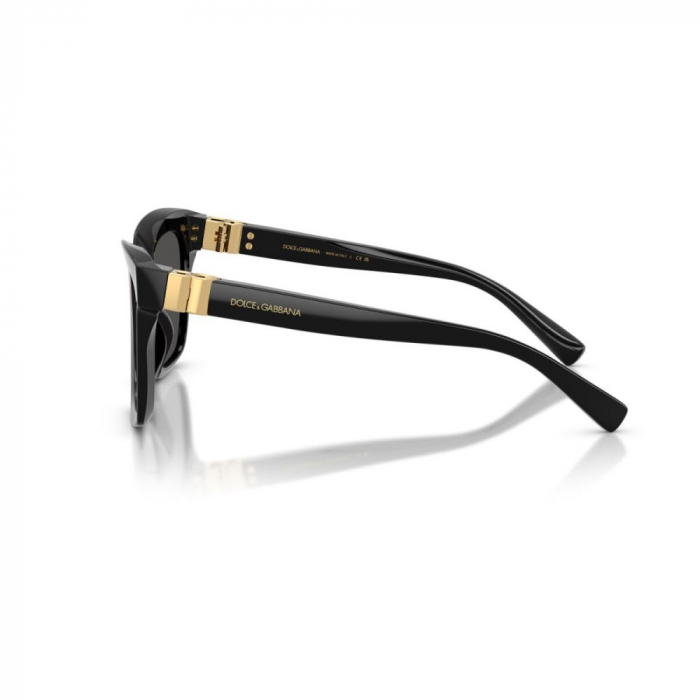 Dolce&Gabbana 4498-501/87 [3]