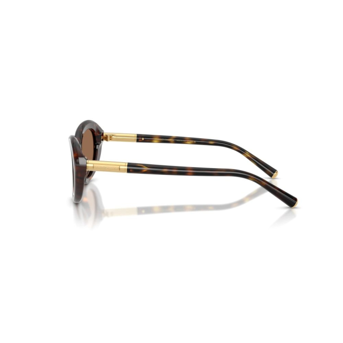 Dolce&Gabbana 4519-502/73 [2]