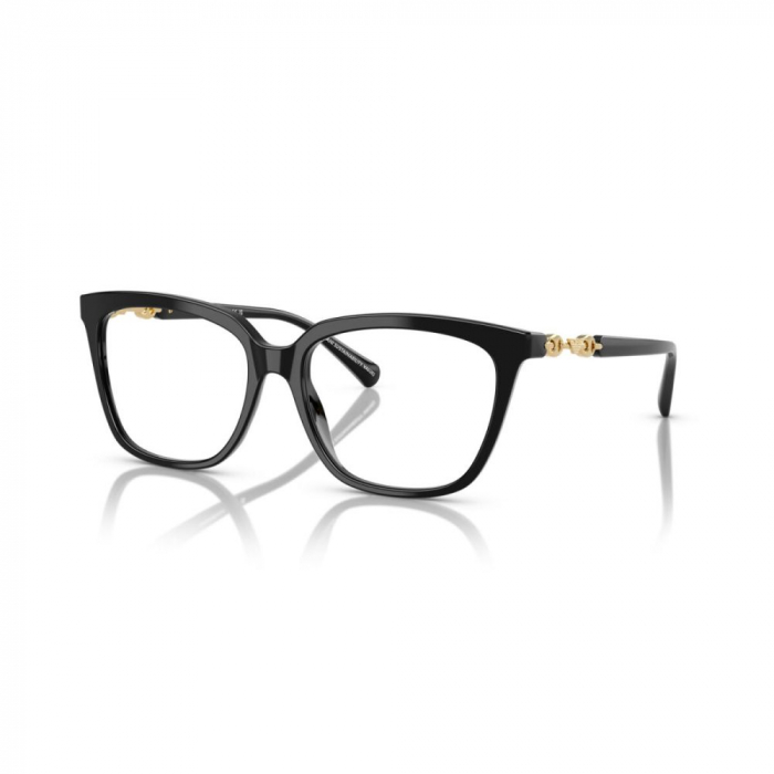 Emporio armani 3248-5017 [1]