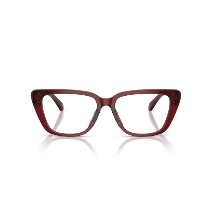 Emporio Armani 3256U-6254 [3]