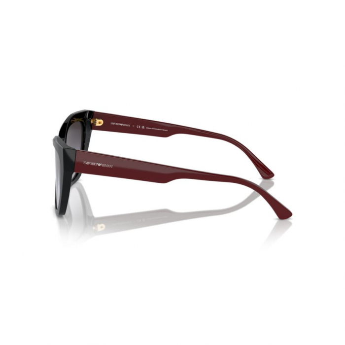 Emporio Armani 4176-50178G [3]