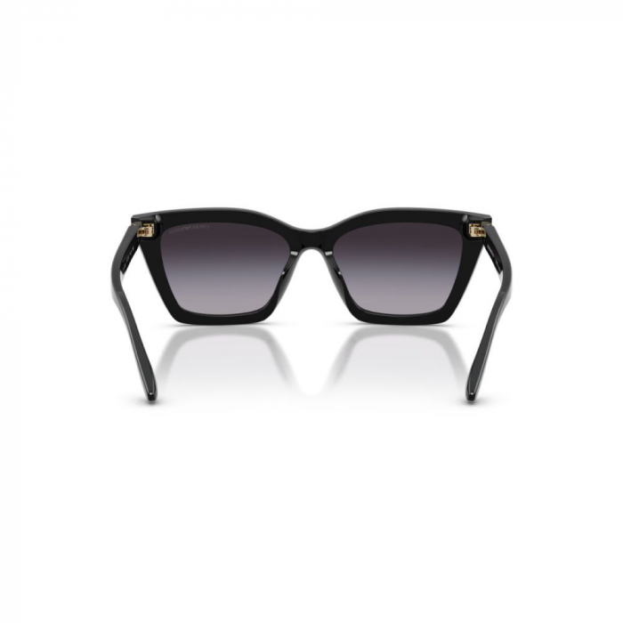 Emporio Armani 4250U-50178G [4]