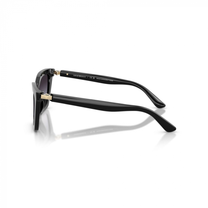 Emporio Armani 4250U-50178G [3]