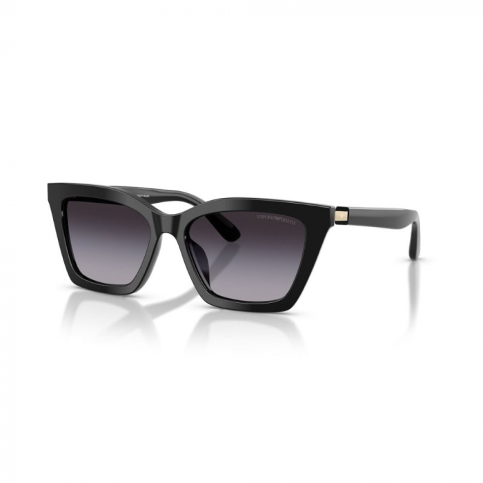 Emporio Armani 4250U-50178G [1]