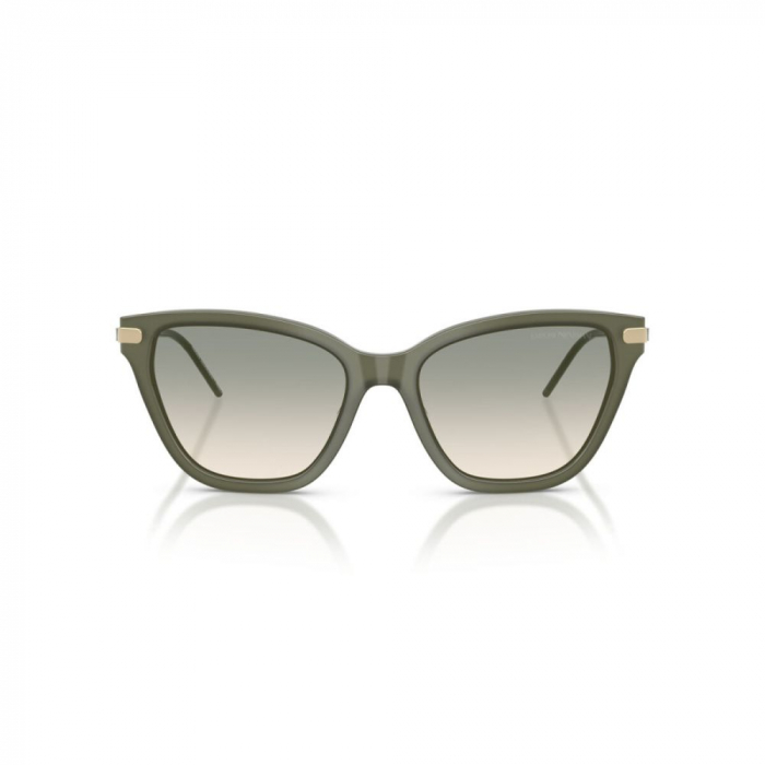 Emporio Armani 4251-62642C [2]