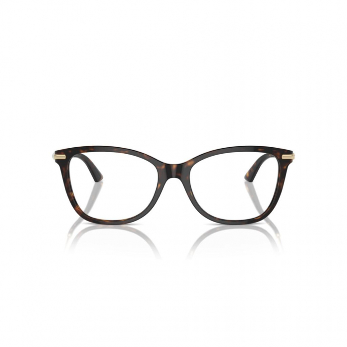 Jimmy Choo 3007HB-5002 [2]