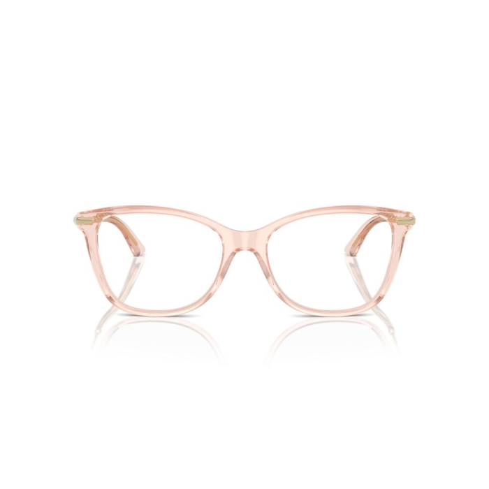Jimmy Choo 3007HB-5034 [3]